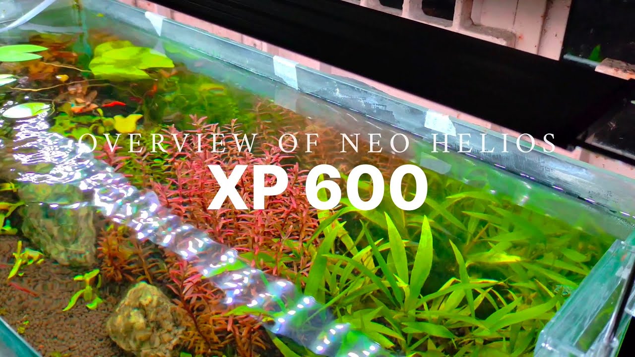 Neo Helios XP 600 Aquarium Light | Best Light for Planted Tank | Wrgb Light for Planted Tank
