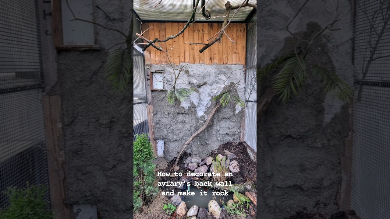 How to decorate an aviary's wall and make it  rock. 