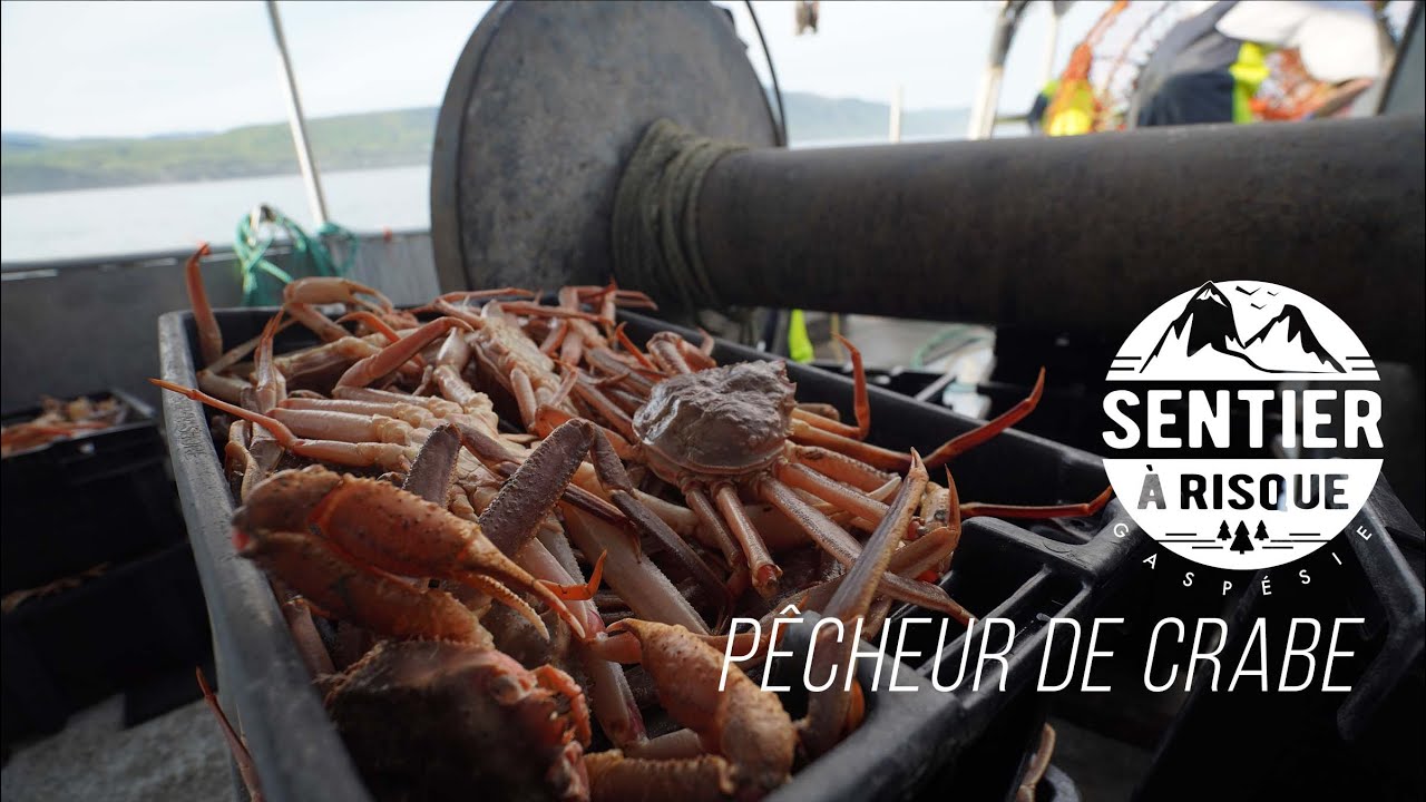 Sentier à risque: Pêcheur de crabe