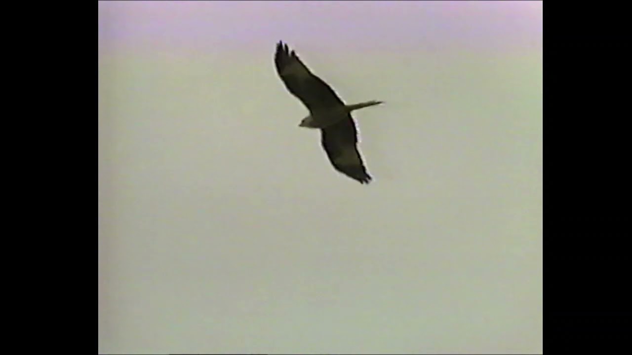 The Natural Wonders of Europe - The Major National Parks of Europe (1995)