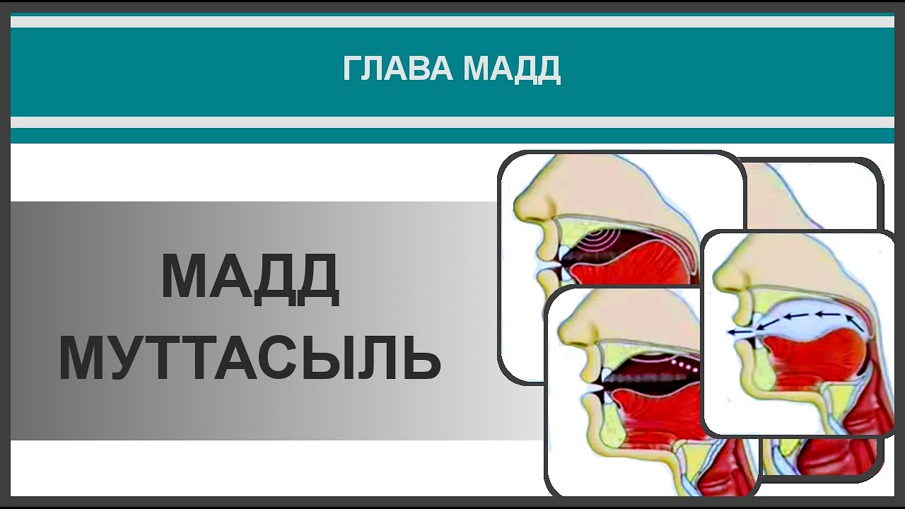 Айман Сувейд. 23. Мадд муттасыль (русские субтитры)