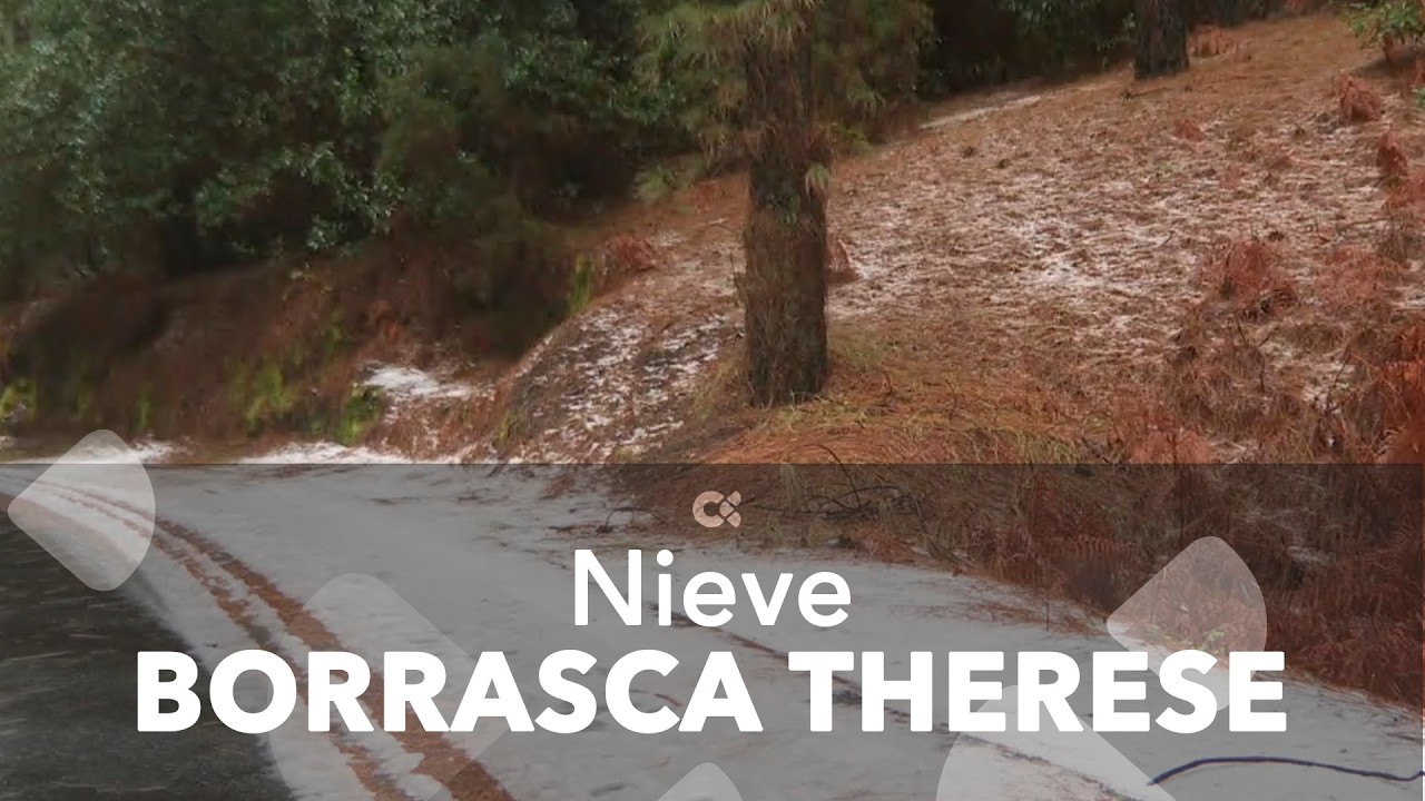 La nieve y el hielo han cubierto las cumbres de La Palma y Tenerife