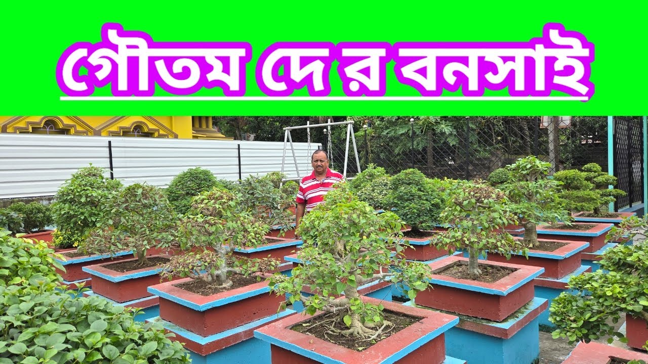 গৌতম দে র বনসাই ||Bonsai Of Goutam Dey || Shree Sanjiban ||