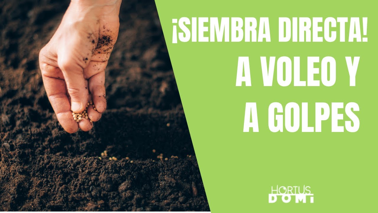 TIPOS DE SIEMBRAS DIRECTA - SIEMBRA A VOLEO Y SIEMBRA A GOLPES