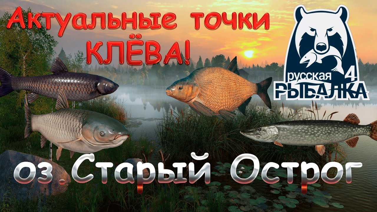Актуальные точки клева на озере Старый Острог. Актуально на 09.01.2026. Русская рыбалка 4.