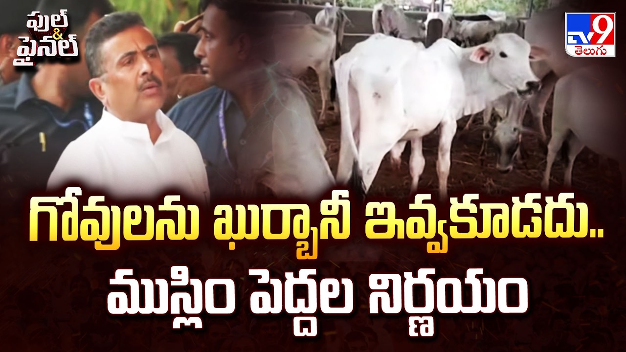 Muslim Clerics Appeal for 'No Cow Sacrifice' | గోవులను ఖుర్బానీ ఇవ్వకూడదు.. ముస్లిం పెద్దల నిర్ణయం
