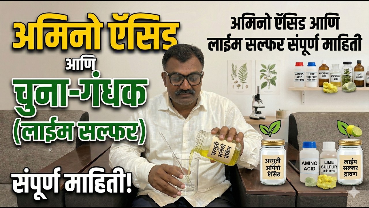 अमिनो आणि चुना गंधक माहिती