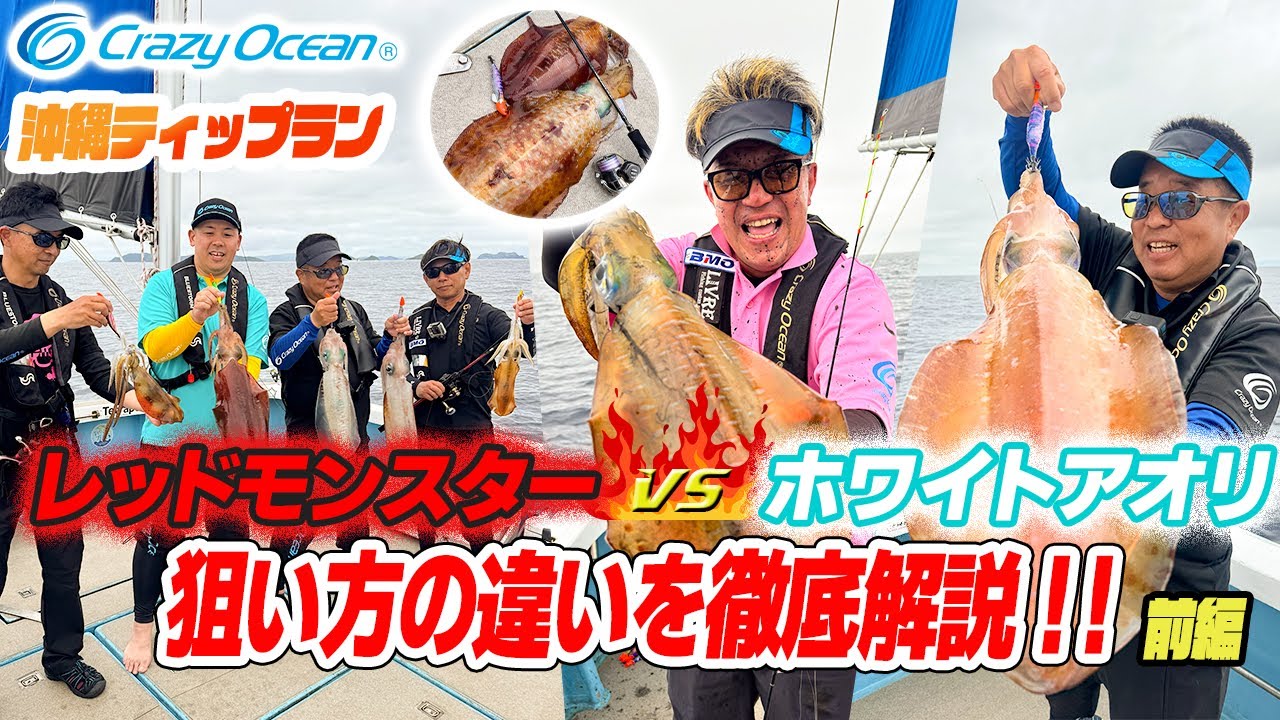 【ティップラン】レッドモンスター 白アオリ系との狙いの違いを徹底解説 (前編)