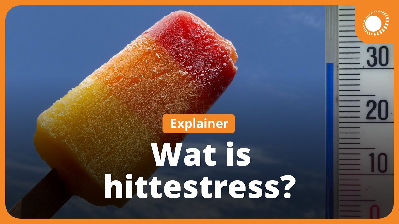Hittestress, dit doet hitte met je lijf