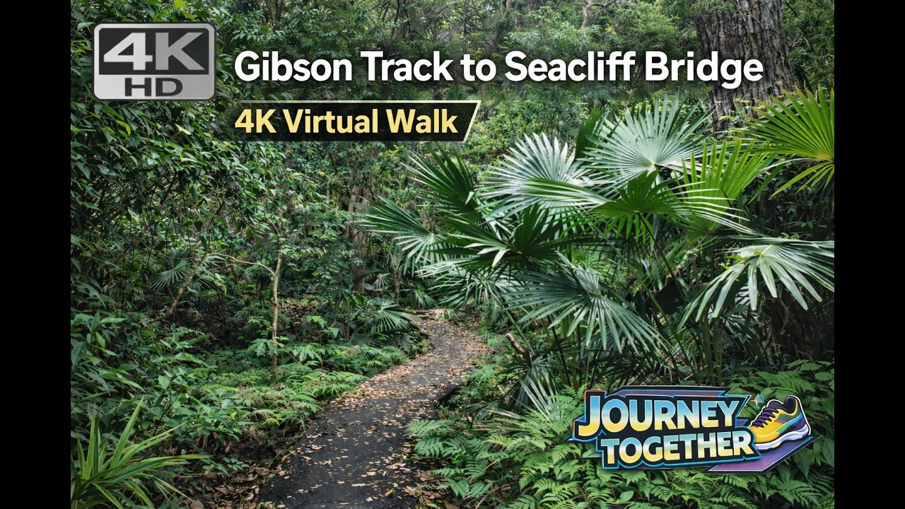 Gibson Track to Seacliff Bridge Walk | 4K Virtual Walk NSW Australia