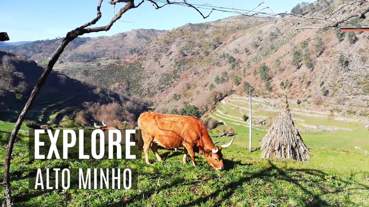 Discover Alto Minho