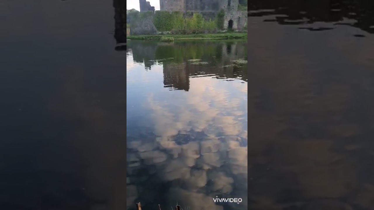 Medieval Castle Moat 🏰 CarpFishing South Wales 💥#probaitsuk #carpfishing