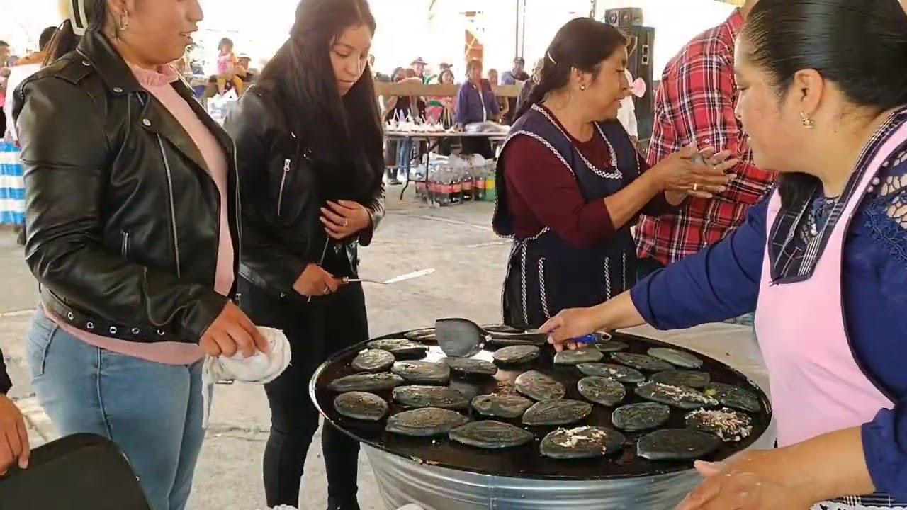 Fiesta en San Pedro Tlaltizapan 2023