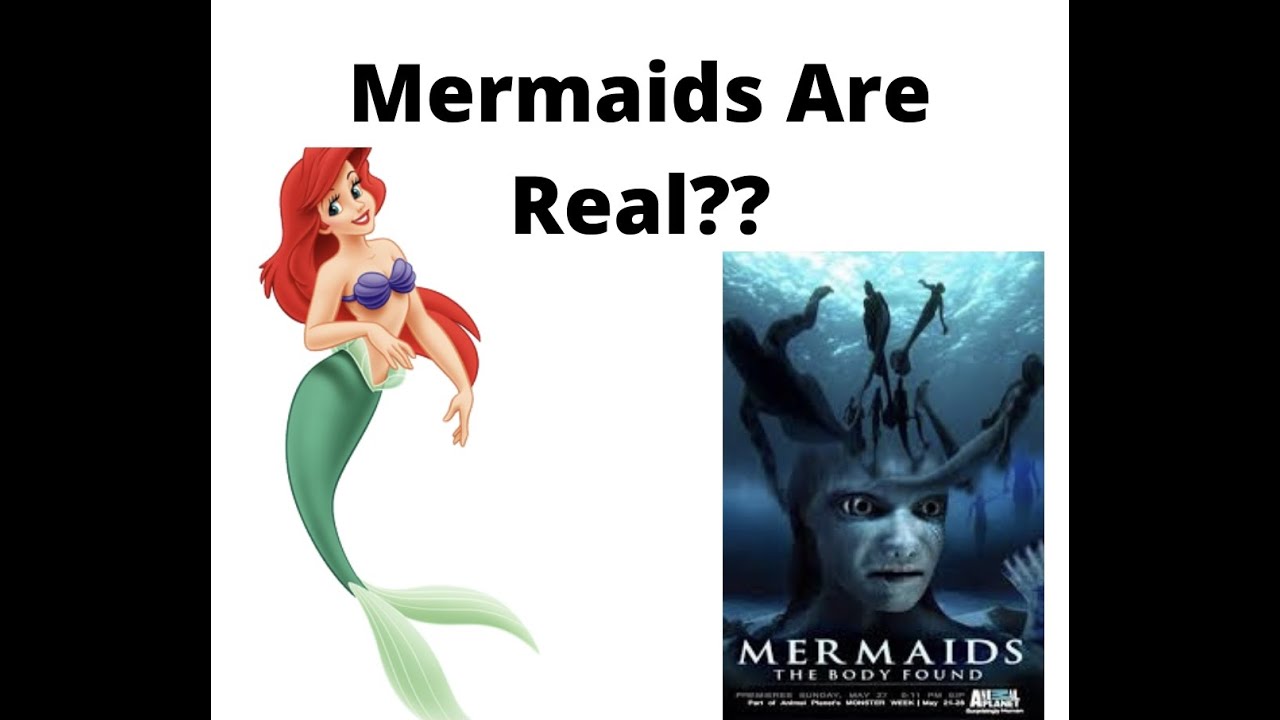 Mermaids The Body Found: That Time Animal Planet Made A Fake Mermaid Documentary