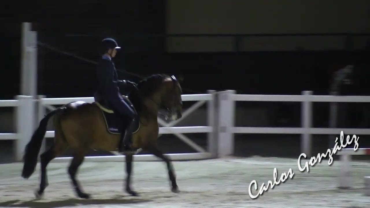 Astrid Hedman & Jaguar P  Manejabilidad