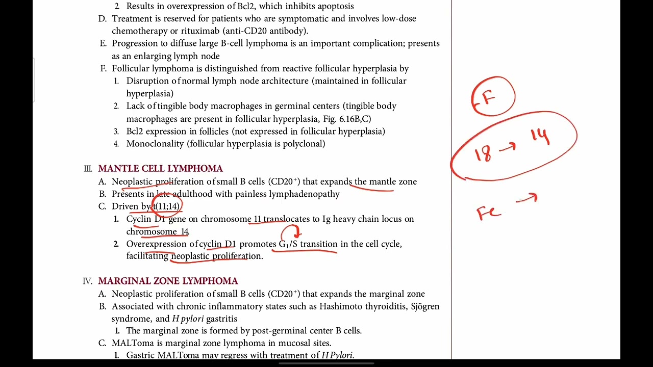 USMLE Step 1 + Step 2 CK | Hodgkin, Non Hodgkin Lymphoma | Hematology # 25 | First Aid in Urdu/Hindi
