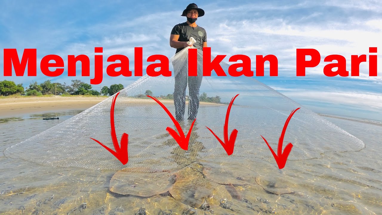 🇲🇾Dalam Sejarah Menjala IKAN PARI Di Gigi Pantai | Tak Sangka Banyak Macam Ni | 钓鱼 |Stingray