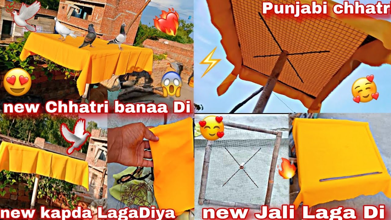 Punjabi chhatri kaise banaen 😱//kabutaron ke liye Please support 🕊️😯✅