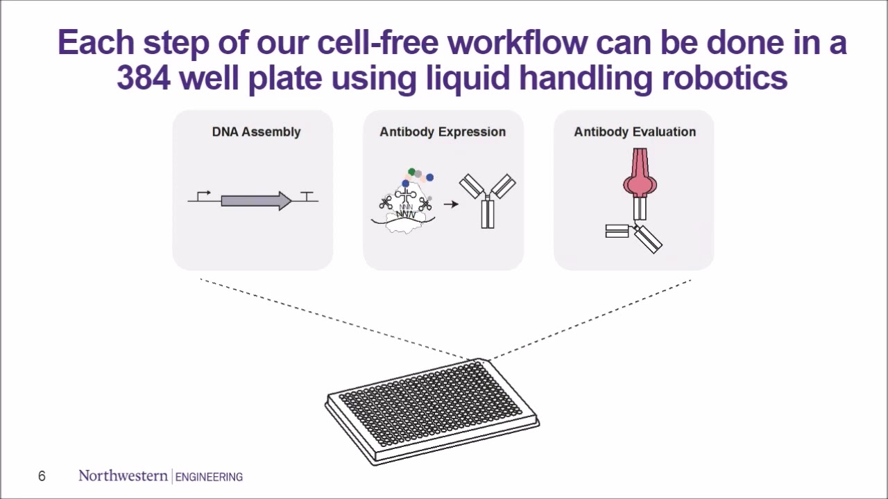 Accelerating Antibody Discovery with Cell Free Protein Synthesis and Automation