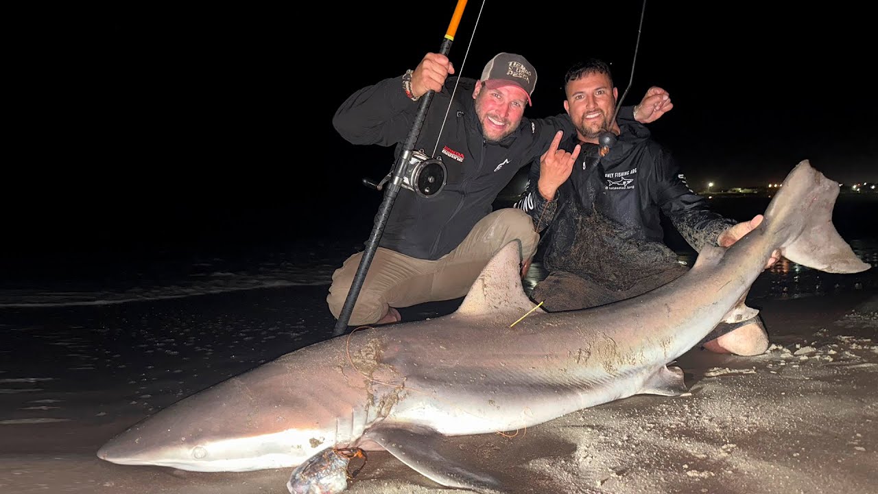 Pescamos un tiburón de costa!!