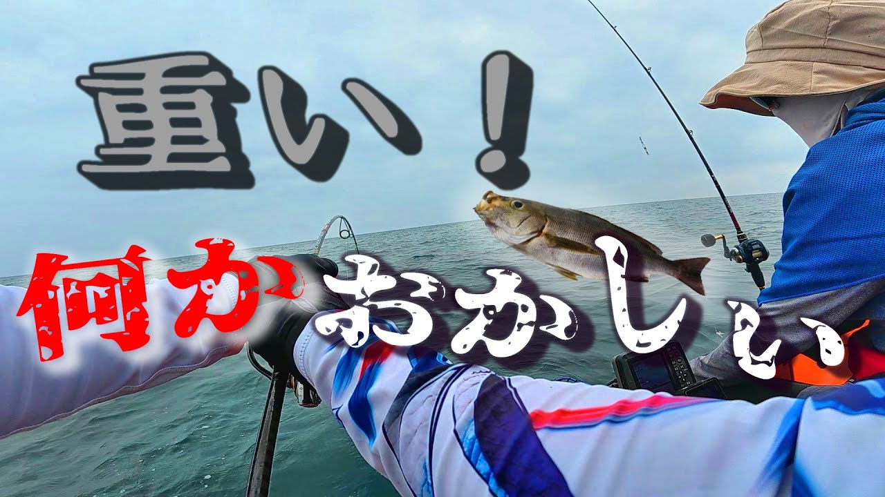 旬のイサキを釣ってたら重い何かが喰いついてきた！！【SLJ】　#イサキ　#ヒラマサ