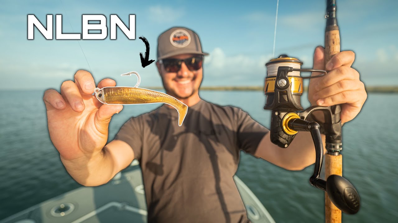 Catching Marsh Monsters with the GOLD NLBN 5
