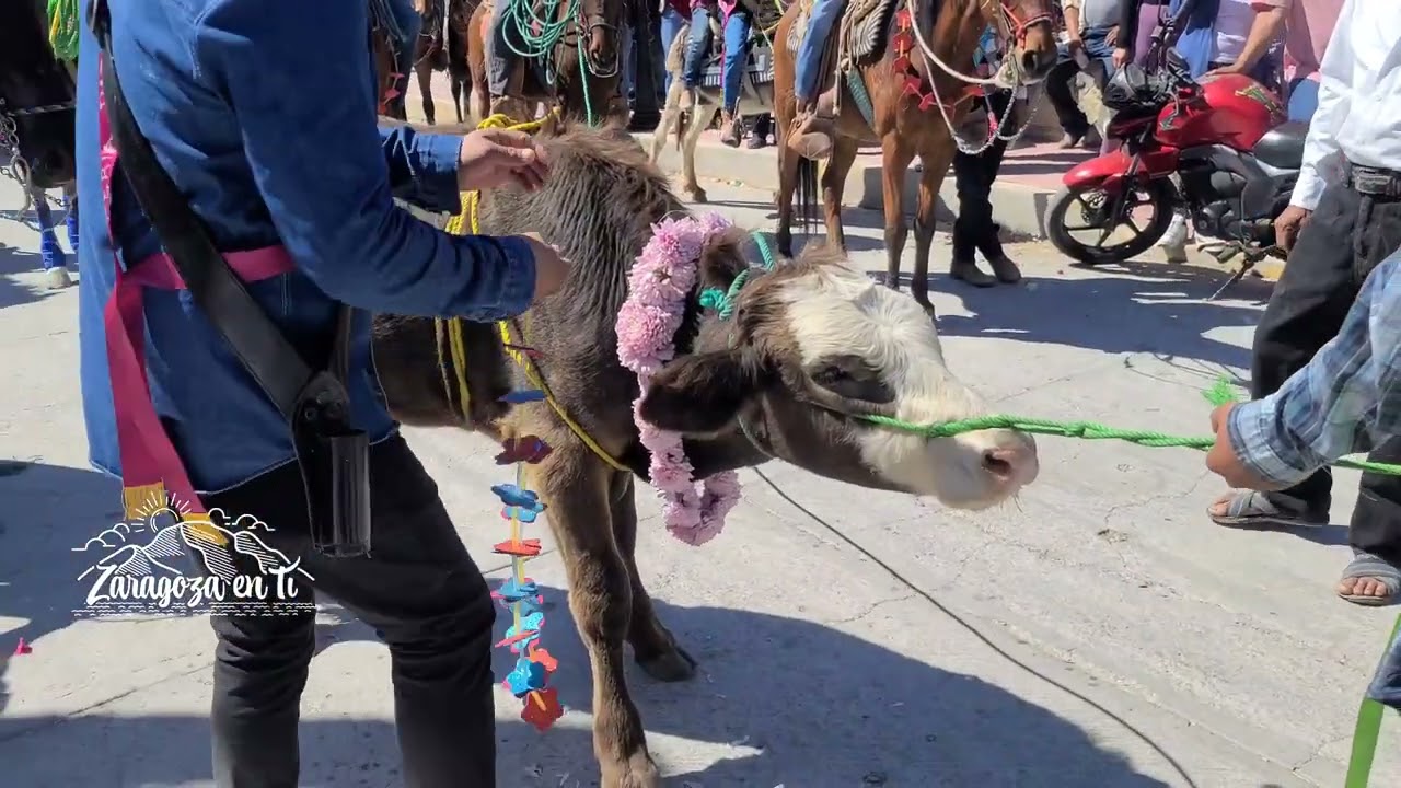 Llegada de la cabalgata y toro del 11_ 11 de febrero 2024_ FERIA, zaragoza coatzingo pue.