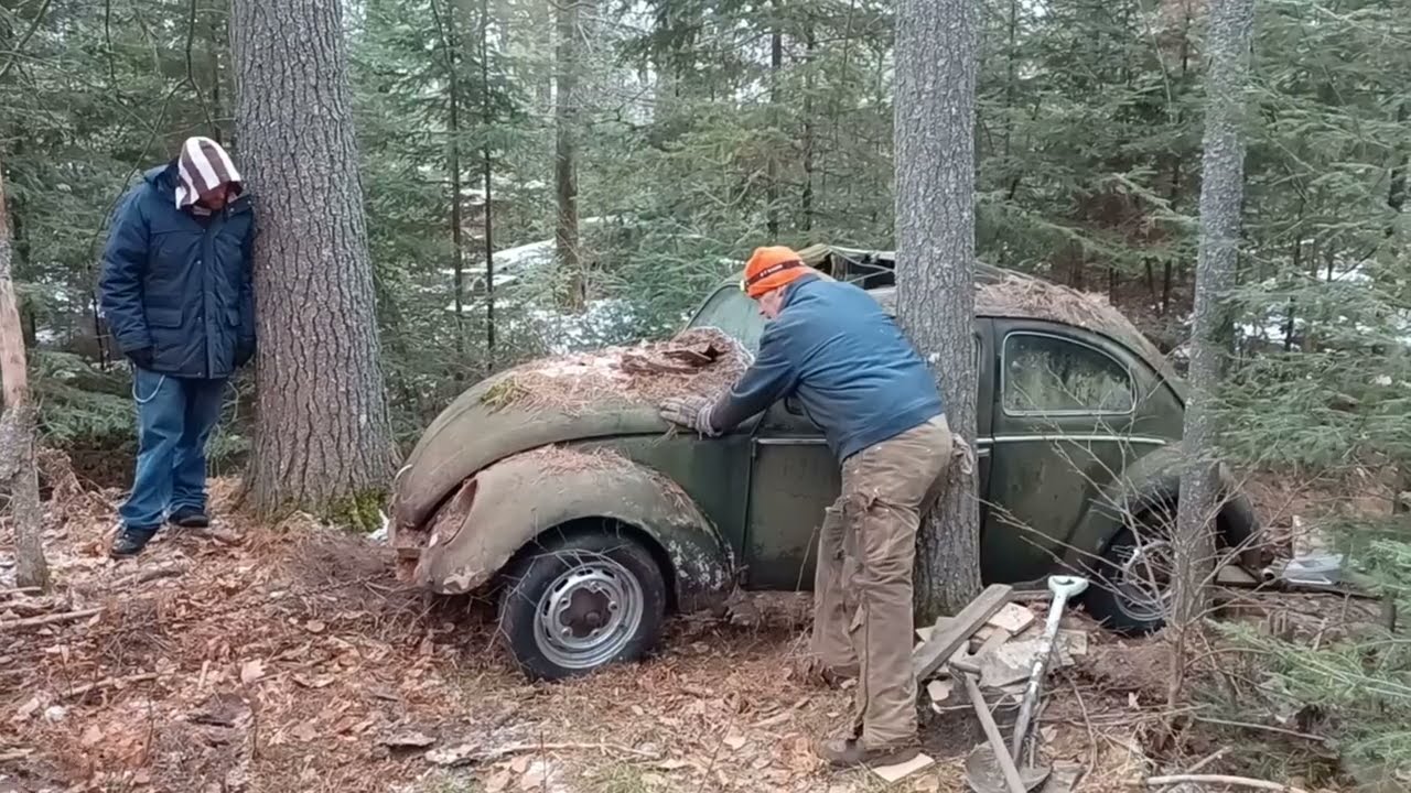 1954 VW Ragtop Bug rescue pt.4, pulling it out