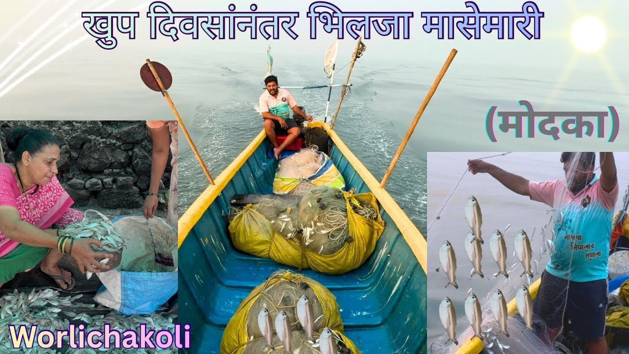 खुप दिवसांनंतर भिलजा मासेमारी, Deep sea fishing, India Mumbai fishermen.