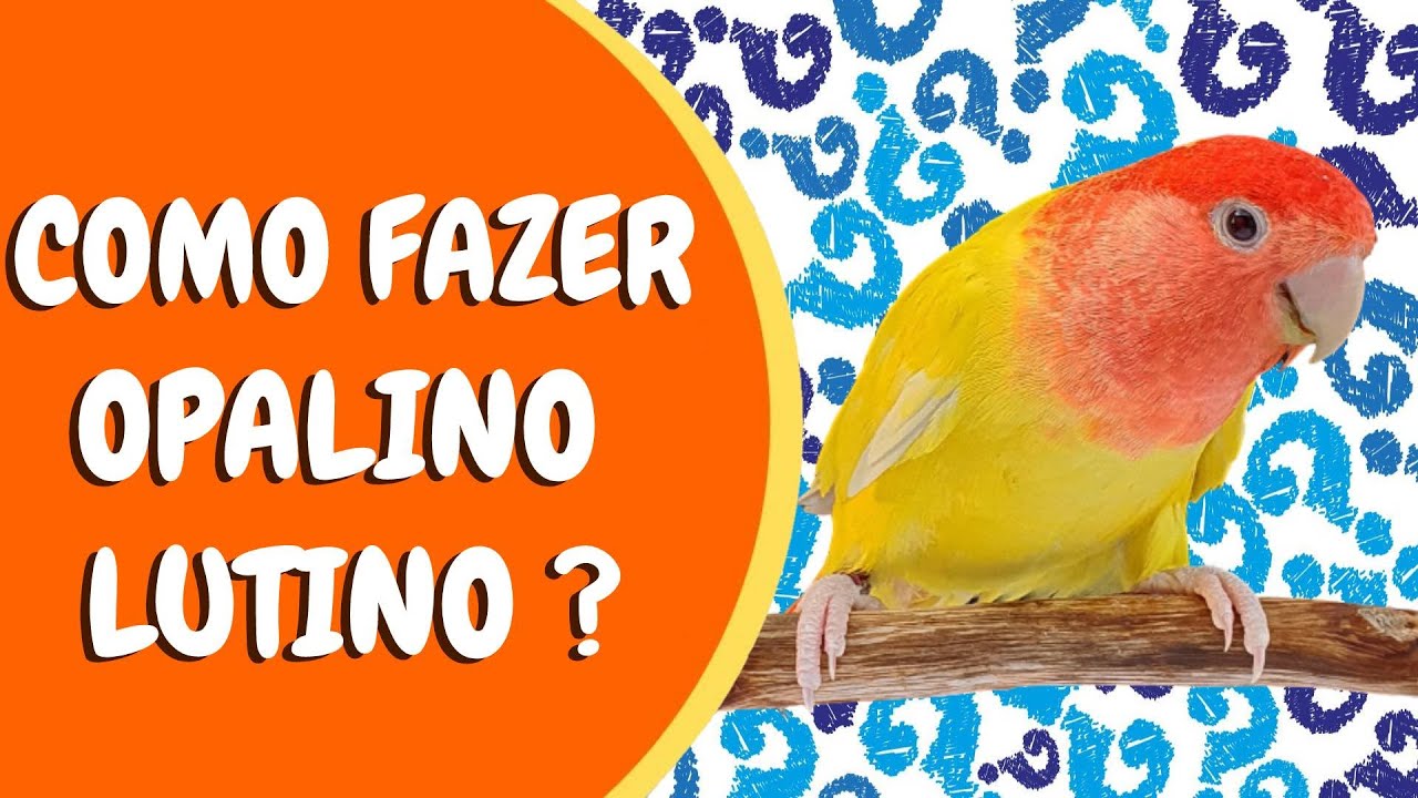 COMO FAZER A MUTAÇÃO OPALINO LUTINO ? - FALA CRIADOR! #5