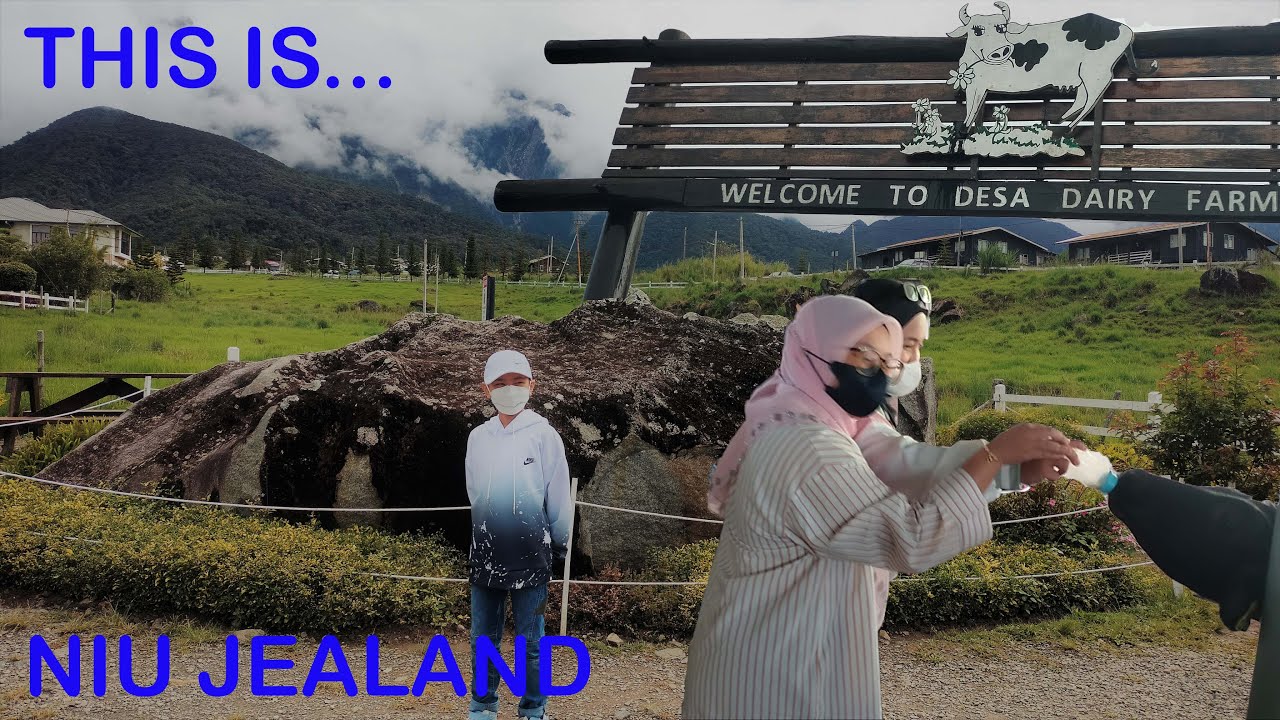 Desa Dairy Farm Kundasang  @ 