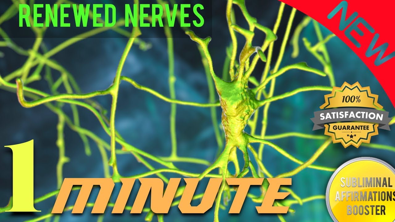 Nerve Regeneration + Nerve Repair and Protection