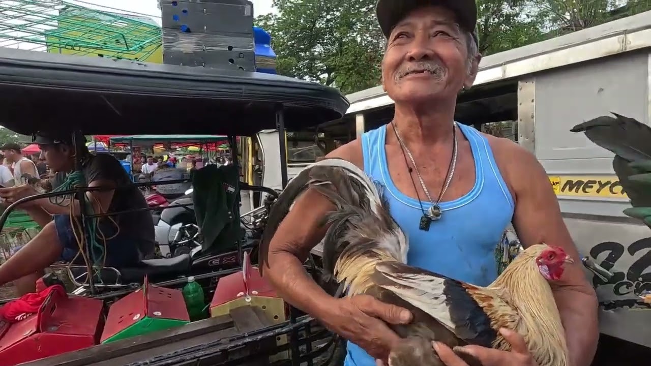 Basta si tatay alfredo quality yan