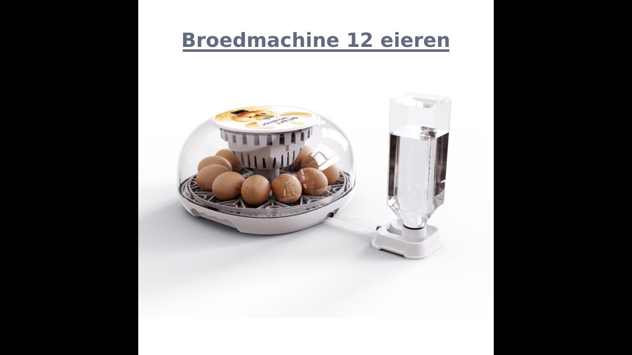 Broedmachine 12 eieren