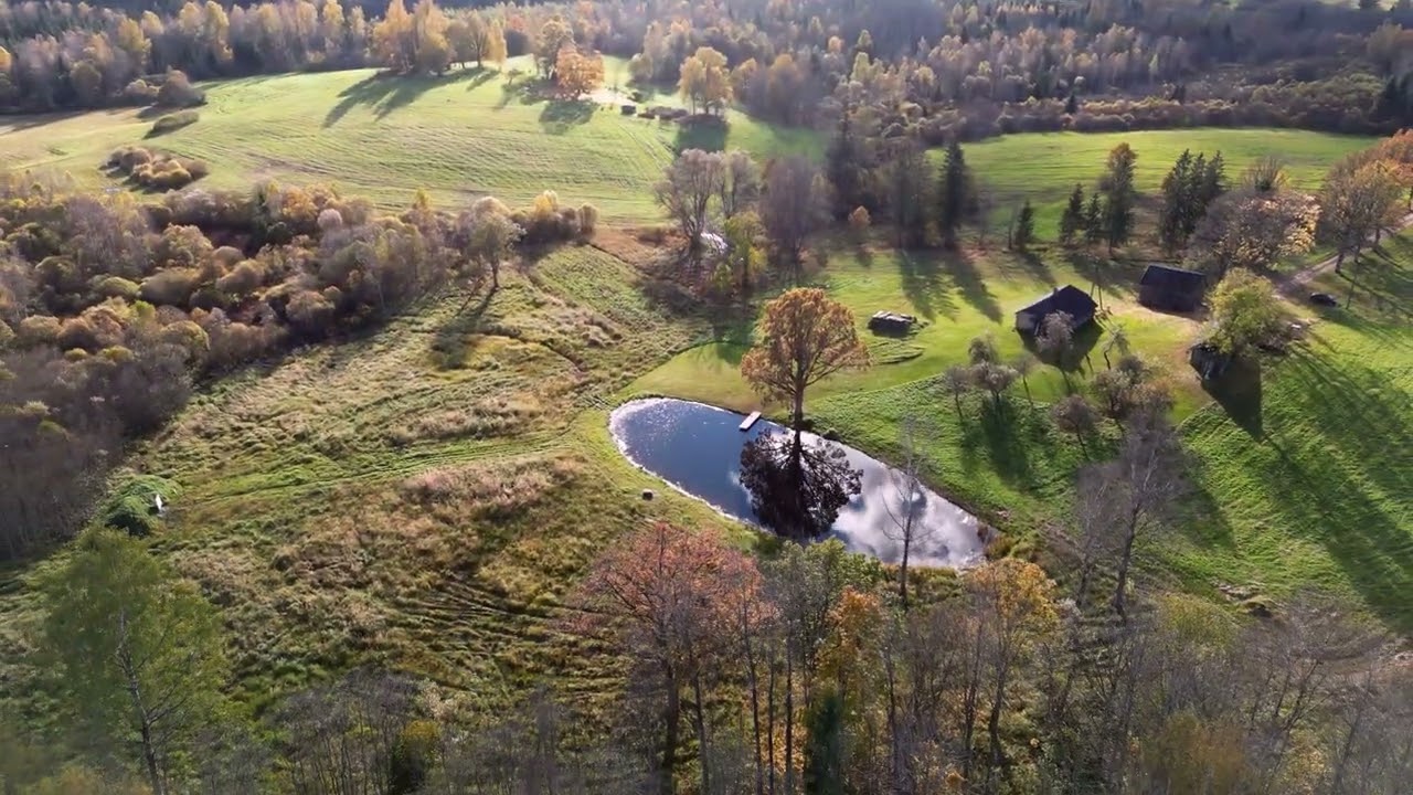 Latvijas ainavas , rudens Liepkalnē , Ērgļi
