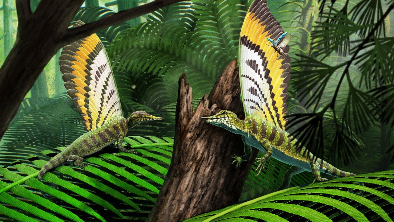 Mirasaura - Ein fossiler „Wundersaurier“ verändert das Verständnis der Reptilienevolution