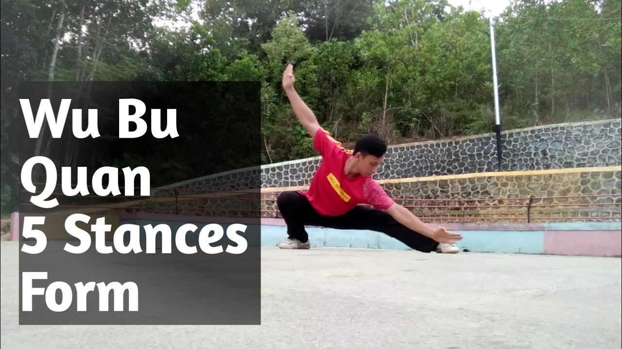 Foundation Form to Master Chang Quan, Long Fist (Northern Style Wushu) Wu bu Quan