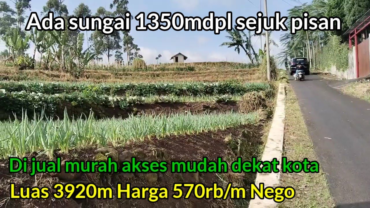 Wow view nya keren!! Bagus untuk ngadem Pasti bikin betah Luas 3920m harga nego dengan oner