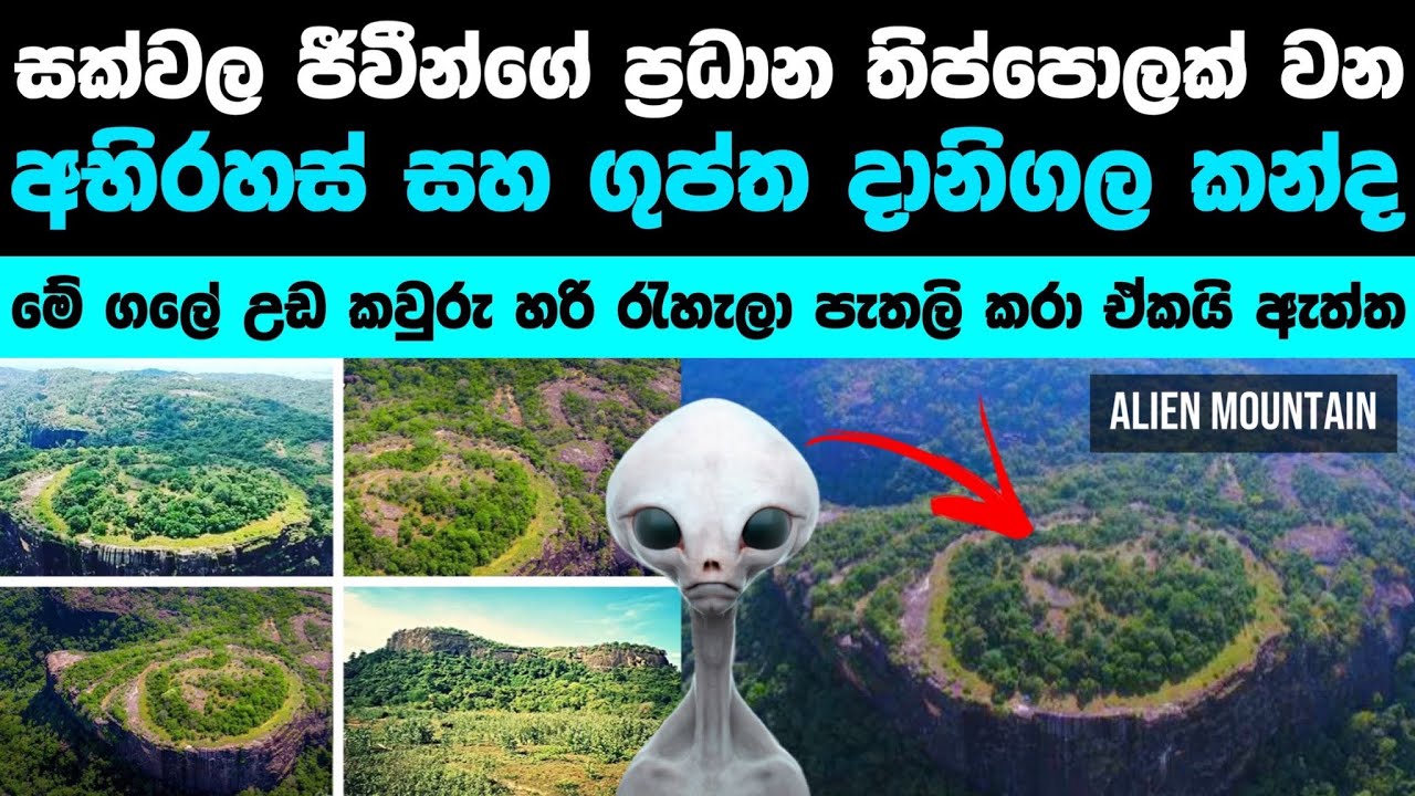 දානිගල කන්ද සහ පිටසක්වල ජීවීන් | Sri Lanka’s Alien Mountain 🏔👽