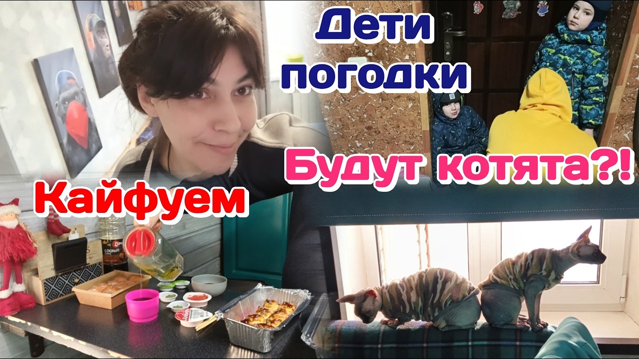 Подглядываю за соседями,наш участок/Праздник живота/Готовлю и возмущаюсь (февраль) Часть 1