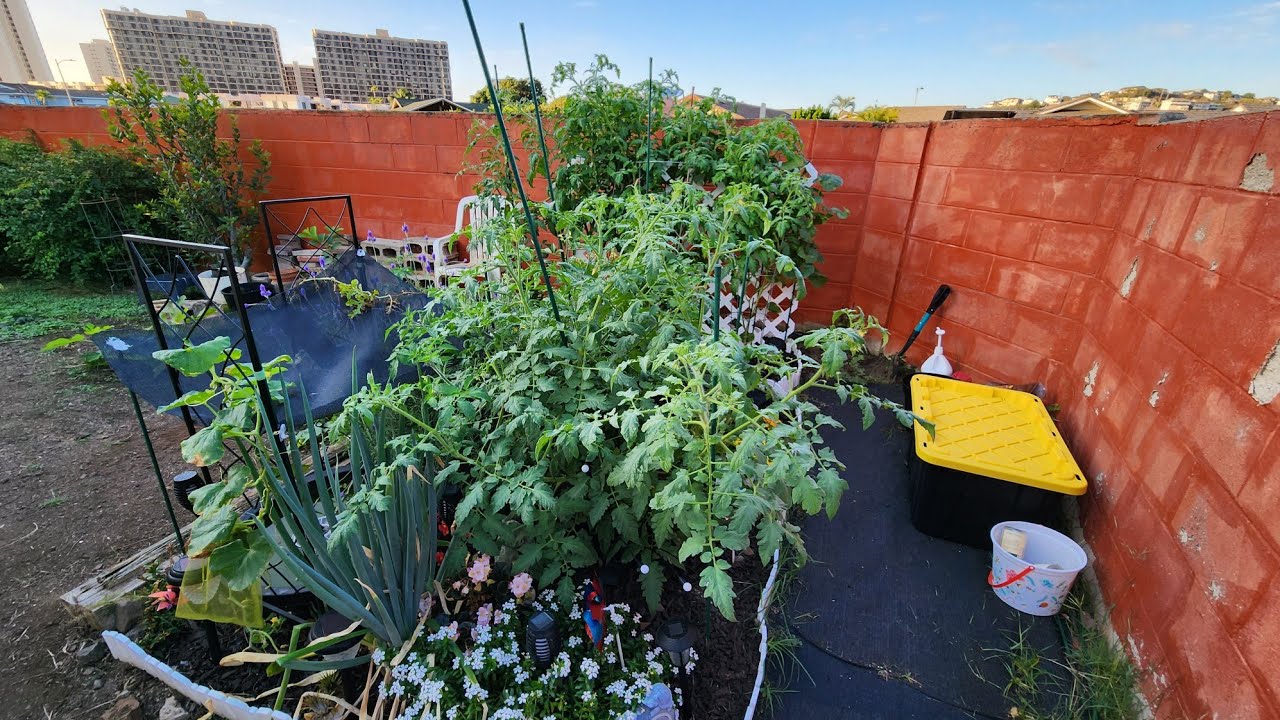 Epic Gardening In Small Spaces @ jamesprigioni miniature food forest