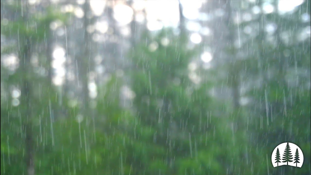 Rain Sounds - Deep Relaxation Ambience for Sleep (3 Hours)
