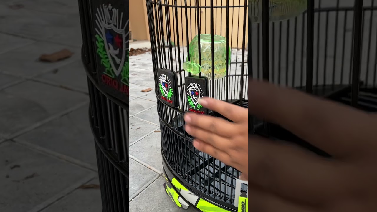 REVIEW Sangkar bulat untuk kacer: Lebih gaya, lebih mudah dipantau, ORIQ JAYA CONCEPT.diameter 48cm