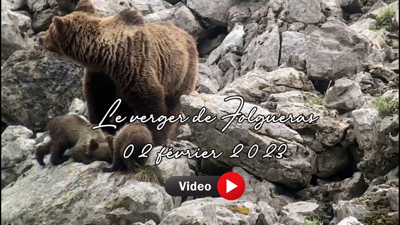 Verger de Folgueras 2 février 2023