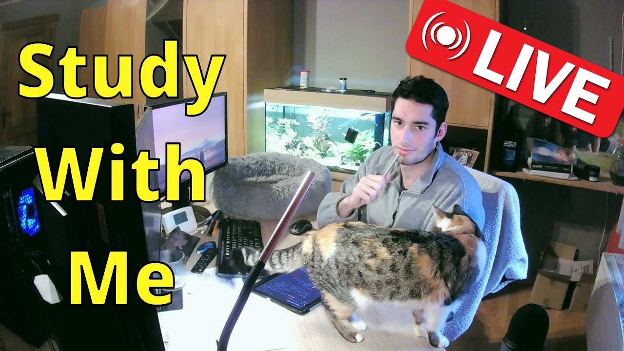 Study with me | 7+ Hours | 60-10 Pomodoro