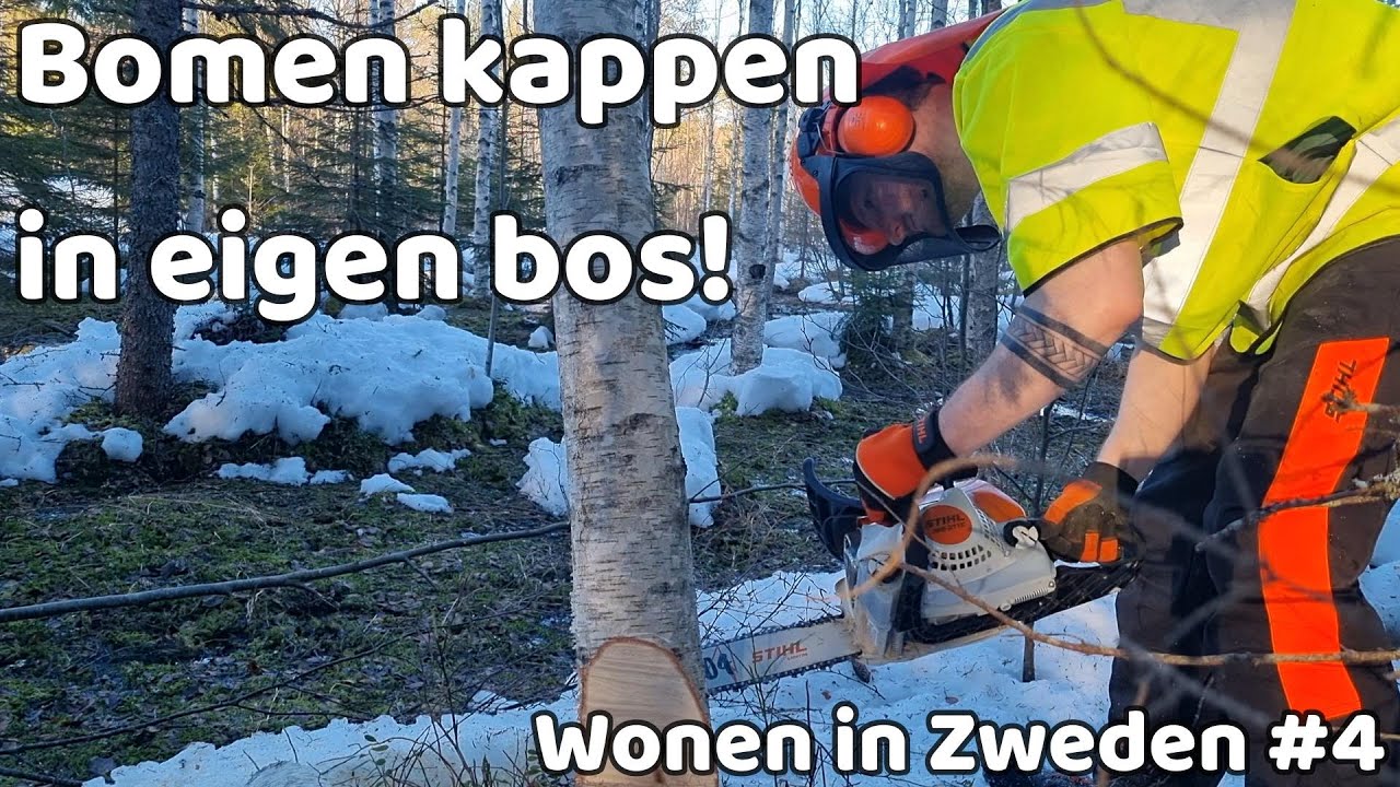 Bomen omzagen in ons eigen bos en een eerste boswandeling. Wonen in Zweden VLOG#4