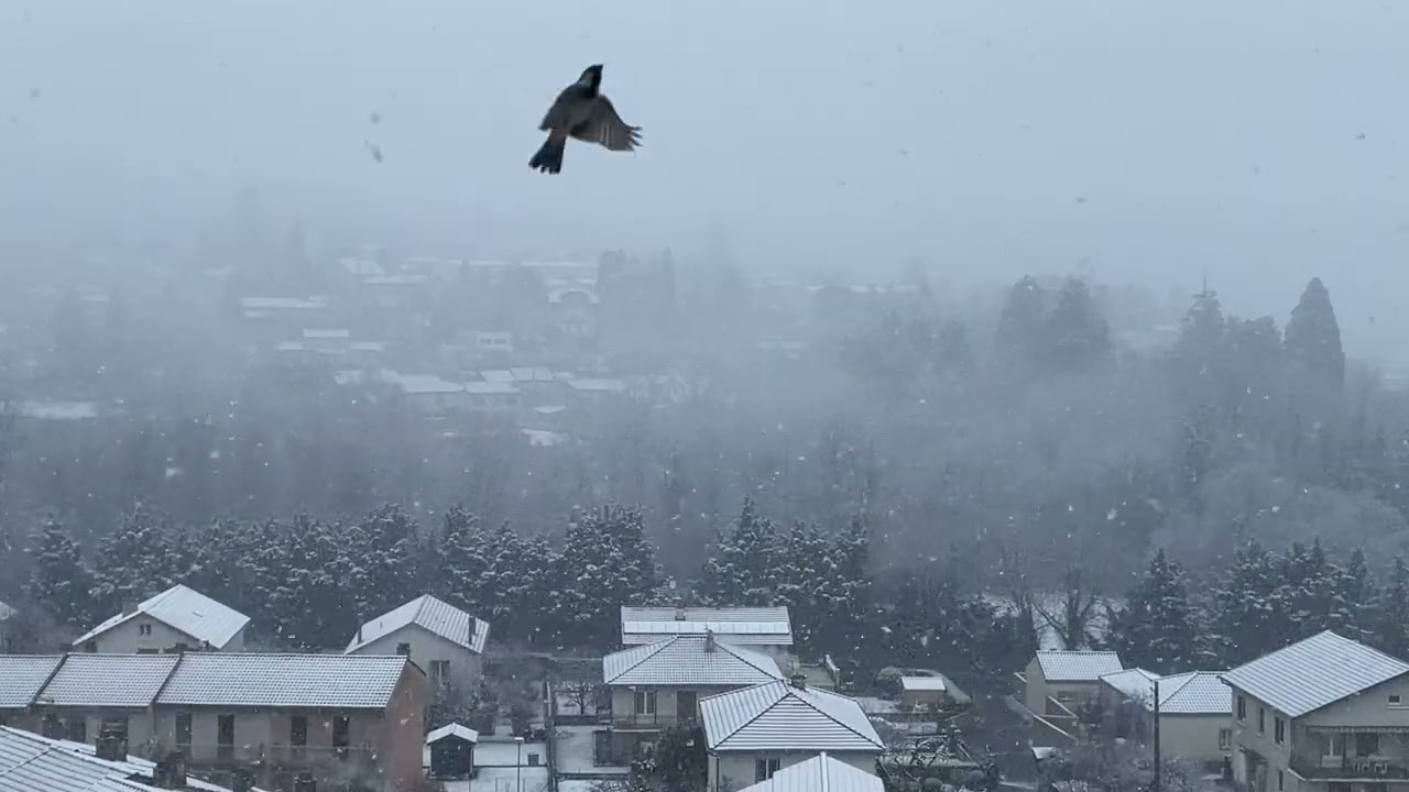 Хаврын цас