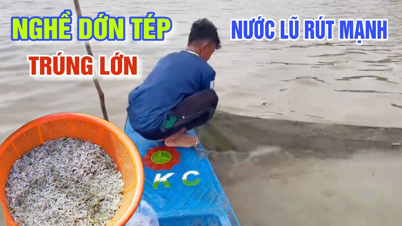 Mưu sinh mùa nước nổi nghề dớn tép,bội thu trên cánh đồng biên giới 
