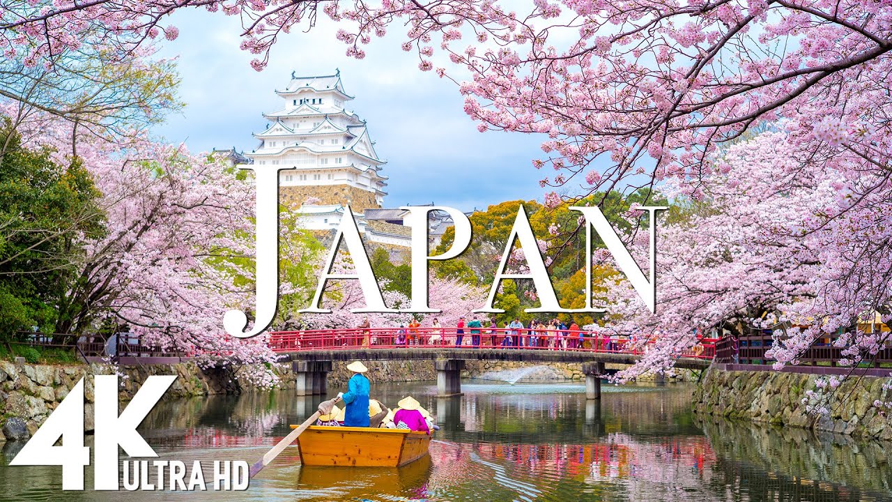 Spring in Japan 4K 🌸 Cherry Blossoms, Himeji Castle, Petal Rivers - Relaxing Piano 4K UHD