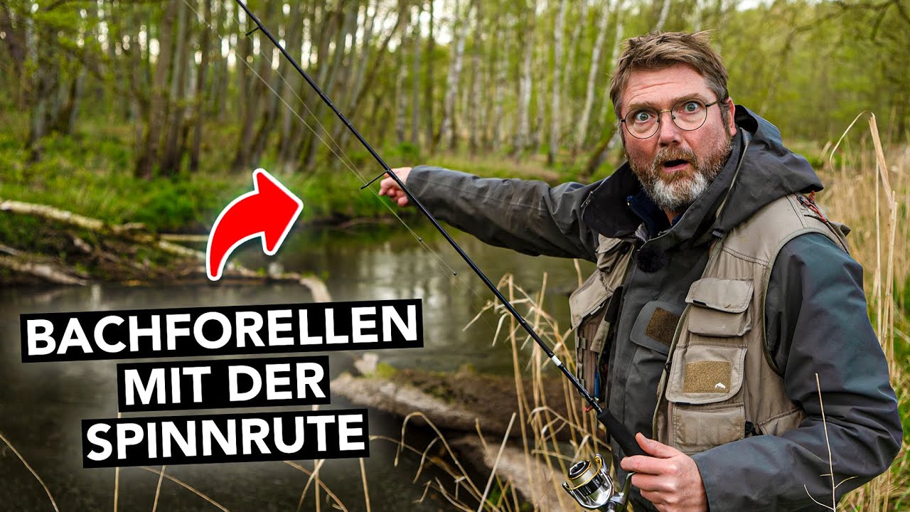 So fängst du deine erste Bachforelle am Bach! 🎣 (inkl. Ausrüstung, Köder und Technik)